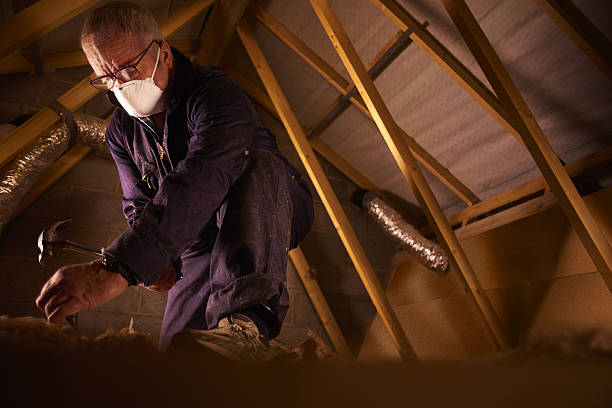 Best Insulation Materials and Products in Millers Falls, MA
